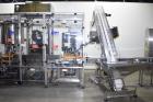 DTM Purefill 2000 Liquid Filling Line w/Pneumatic Scale Plugger and Capper